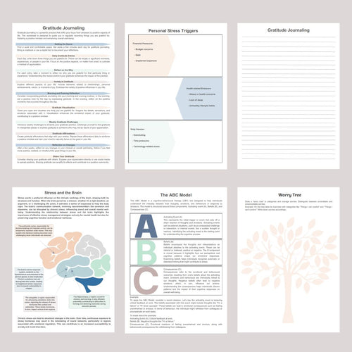 Stress Management Workbook - Counselor Sarah